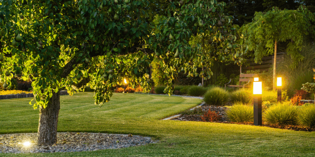 Illuminated garden with trees and lights