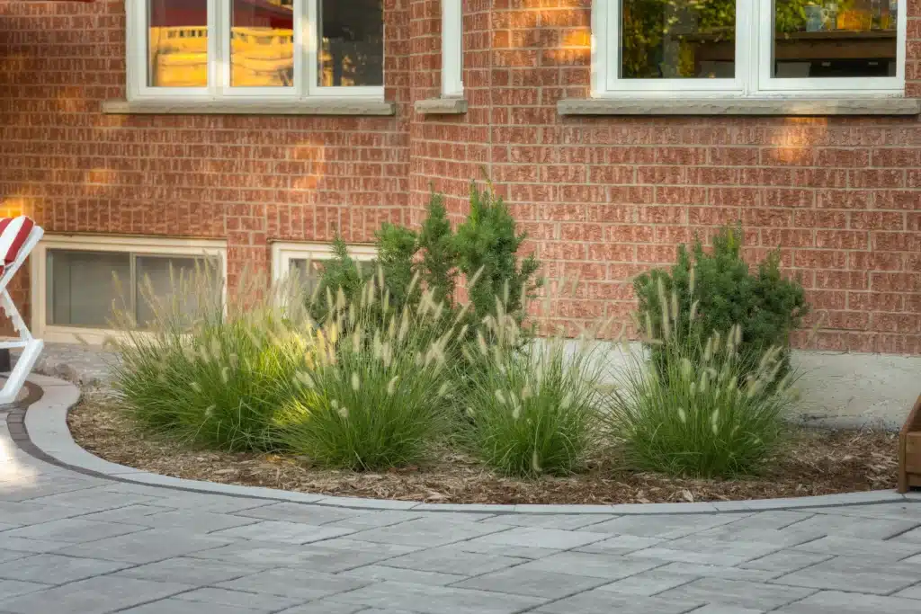 A ground-level photograph of ornamental grass and yew shrubs in a mulched garden bed beside a brick house and paved patio, showcasing the year-round structural planting and natural textures that create timeless landscapes.