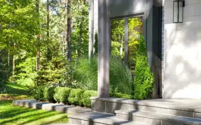 Planning Your Dream Front Yard and Back Yard
